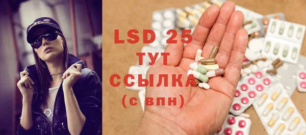 стаф Вяземский