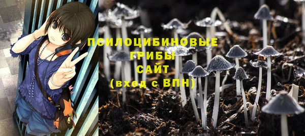 СК Володарск