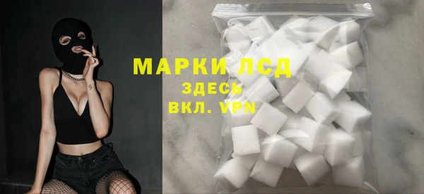 стаф Вяземский