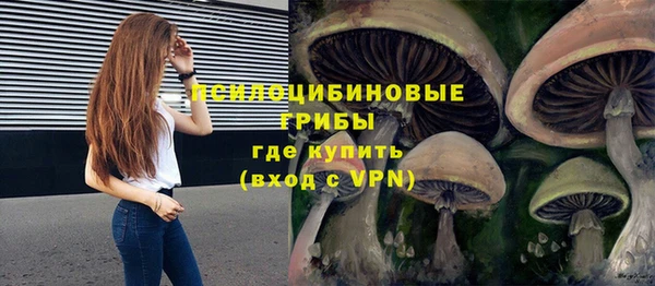 прущая мука Вязьма