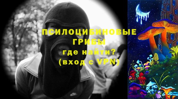 стаф Вяземский
