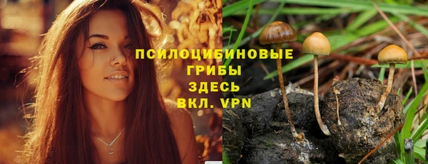 СК Володарск